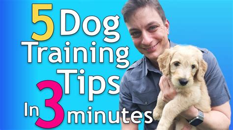 youtube dog training